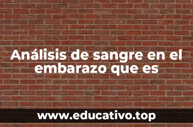 Análisis de sangre en el embarazo que es