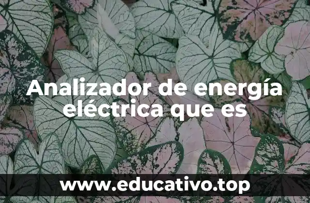 Analizador de energía eléctrica que es