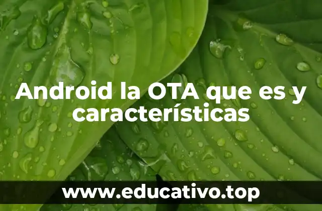 Android la OTA que es y características