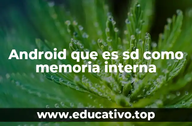 Android que es sd como memoria interna