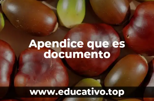 Apendice que es documento