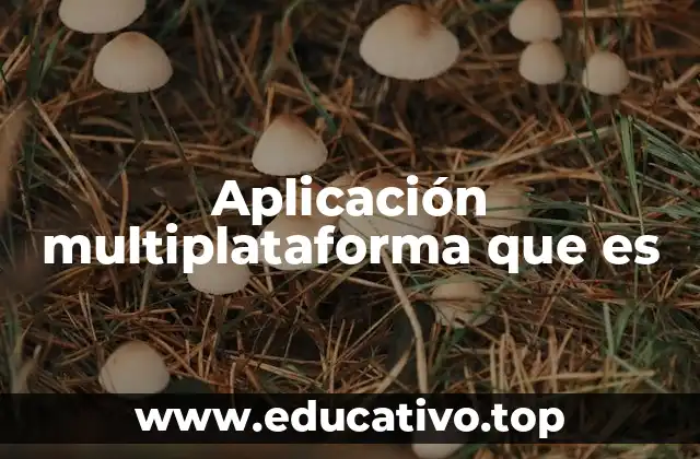 Aplicación multiplataforma que es