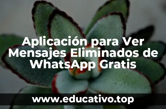 Aplicación para Ver Mensajes Eliminados de WhatsApp Gratis