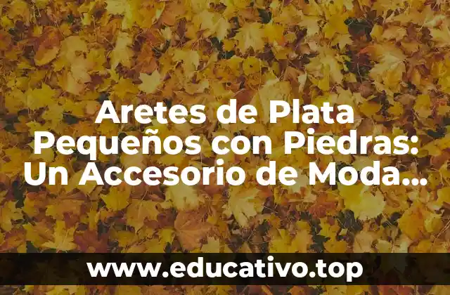 Aretes de Plata Pequeños con Piedras: Un Accesorio de Moda Elegante