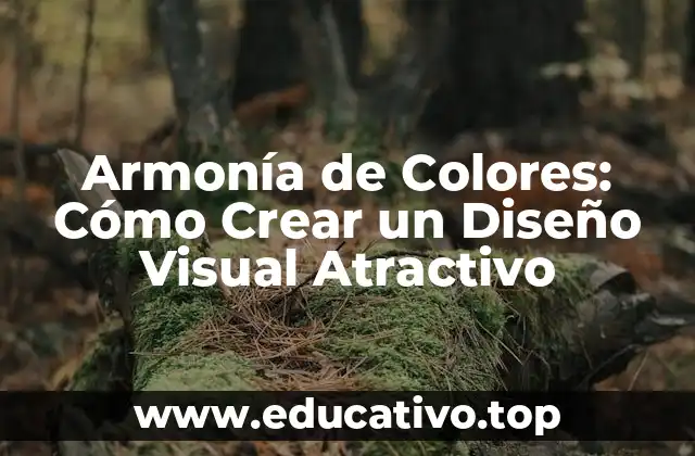 Armonía de Colores: Cómo Crear un Diseño Visual Atractivo