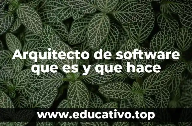 La importancia del arquitecto de software en el desarrollo de sistemas