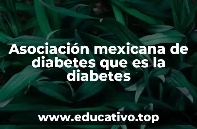 La importancia de la educación en la prevención y manejo de la diabetes