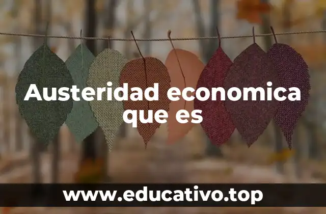 Austeridad economica que es