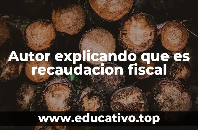 Autor explicando que es recaudacion fiscal
