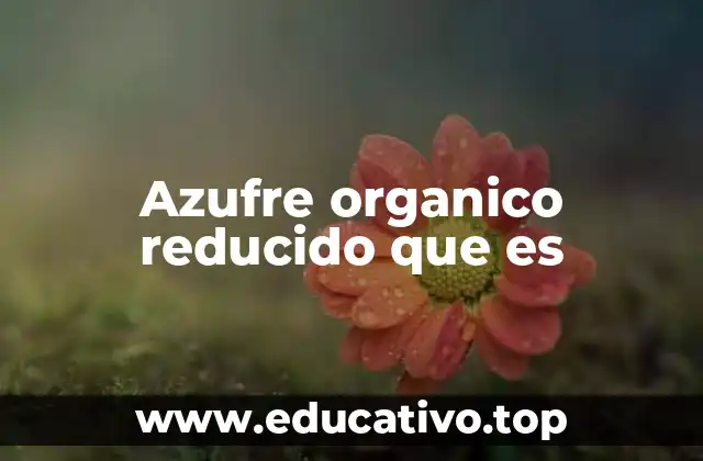 Azufre organico reducido que es