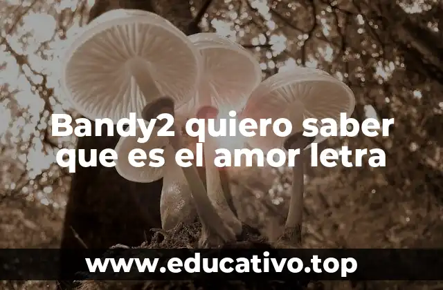 Bandy2 quiero saber que es el amor letra