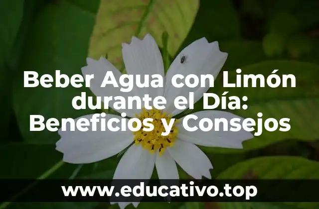 ¿Por qué es Importante Beber Agua con Limón durante el Día?