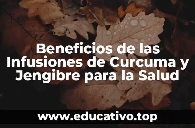Beneficios de las Infusiones de Curcuma y Jengibre para la Salud