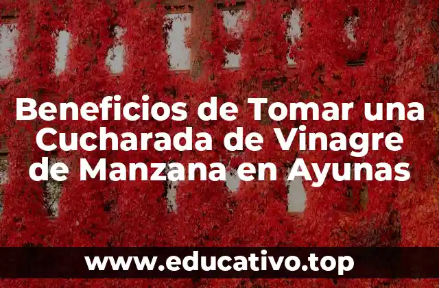 Beneficios de Tomar una Cucharada de Vinagre de Manzana en Ayunas