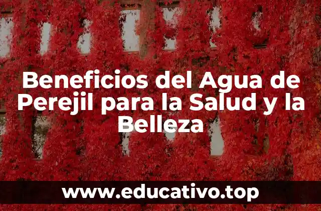 Beneficios del Agua de Perejil para la Salud y la Belleza