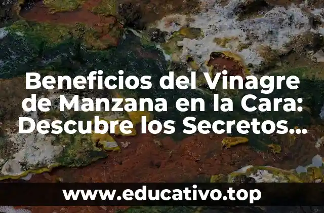 ¿Qué es el Vinagre de Manzana y Cómo se Produce?