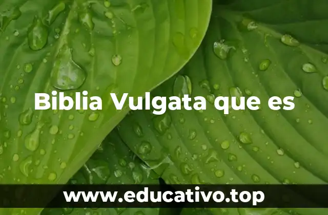 Biblia Vulgata que es