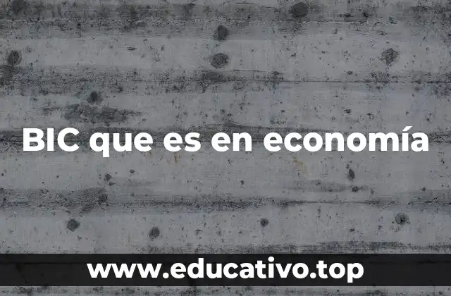 BIC que es en economía