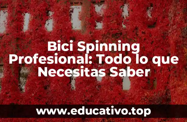 Bici Spinning Profesional: Todo lo que Necesitas Saber
