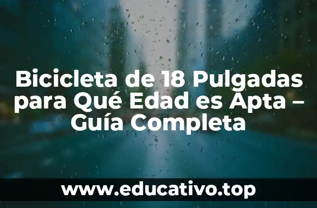 Bicicleta de 18 Pulgadas para Qué Edad es Apta – Guía Completa