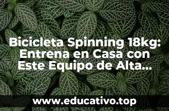 Bicicleta Spinning 18kg: Entrena en Casa con Este Equipo de Alta Calidad