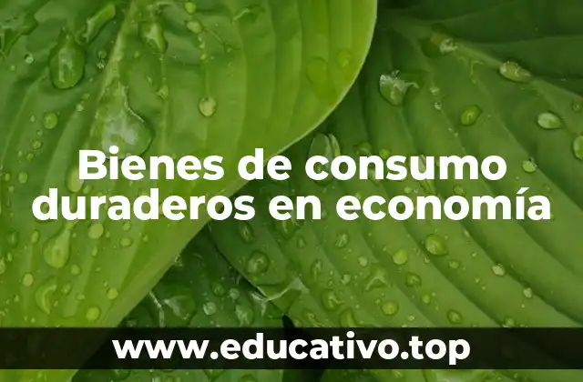 Bienes de consumo duraderos en economía