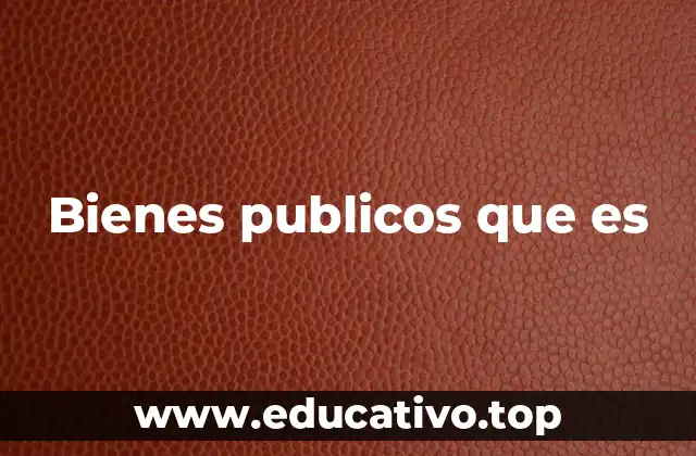 Bienes publicos que es