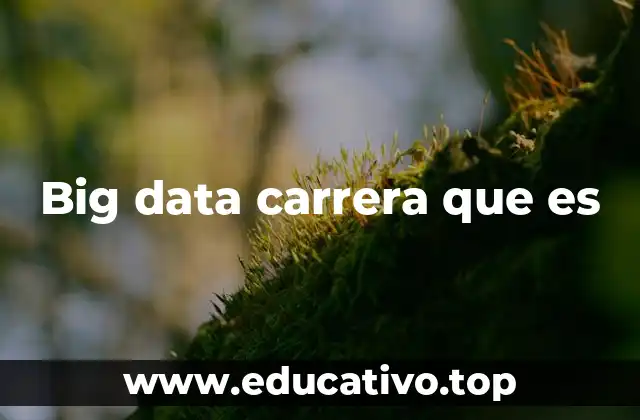 Big data carrera que es