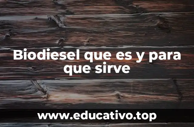 Biodiesel que es y para que sirve