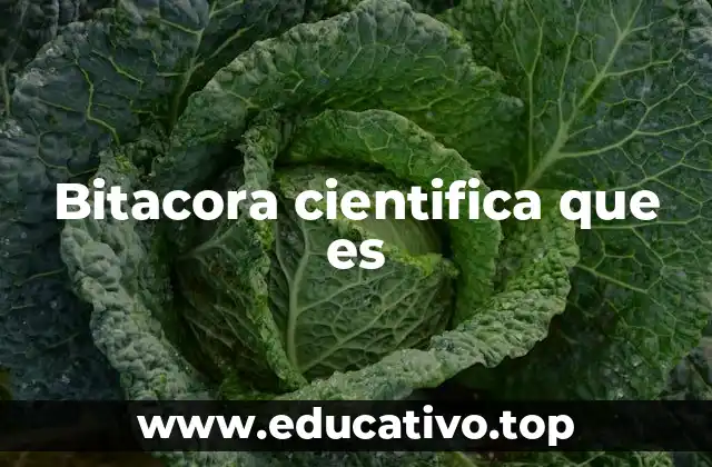 Bitacora cientifica que es