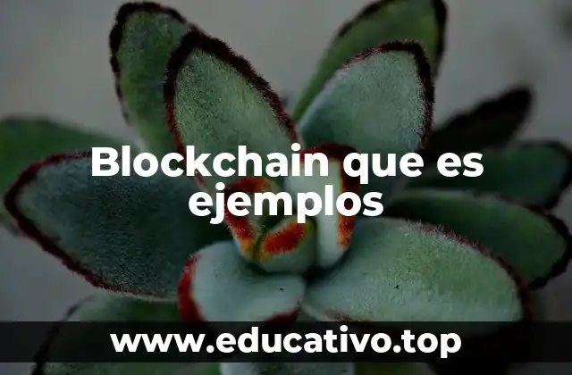 Características del blockchain que lo diferencian de otros sistemas