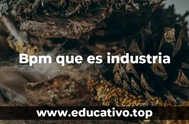 Bpm que es industria