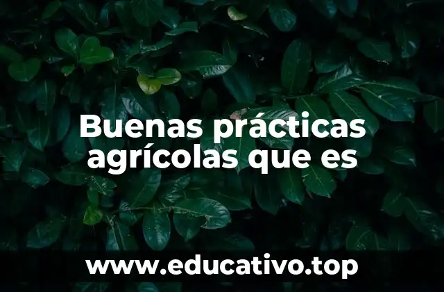 Buenas prácticas agrícolas que es