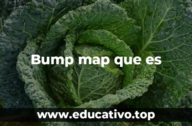 Bump map que es