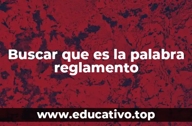 El papel de los reglamentos en la vida cotidiana