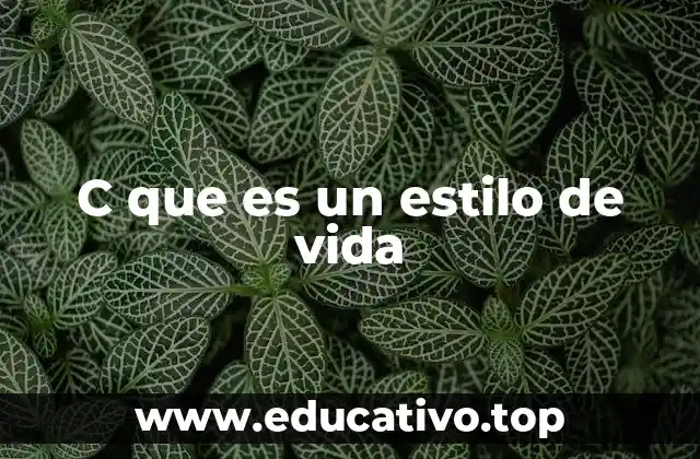 C que es un estilo de vida
