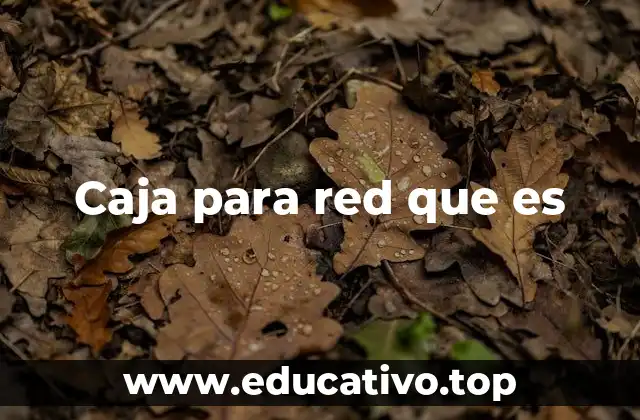 Caja para red que es