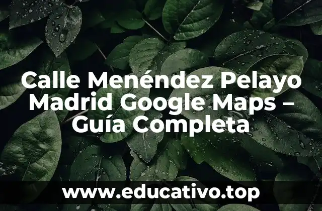 Calle Menéndez Pelayo Madrid Google Maps – Guía Completa