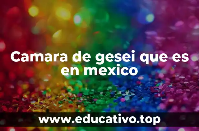 Camara de gesei que es en mexico