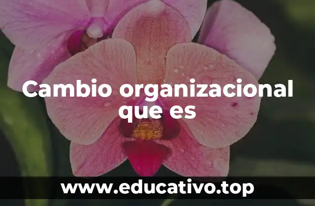 El rol del liderazgo en la transformación empresarial