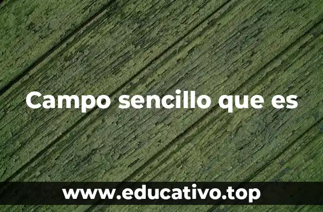 Campo sencillo que es