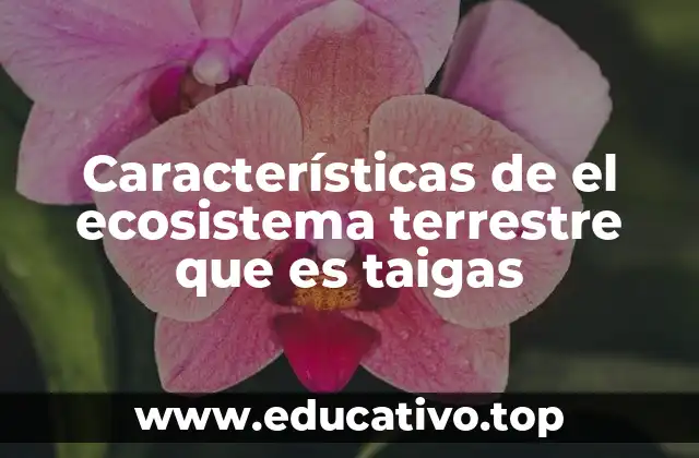 Características de el ecosistema terrestre que es taigas