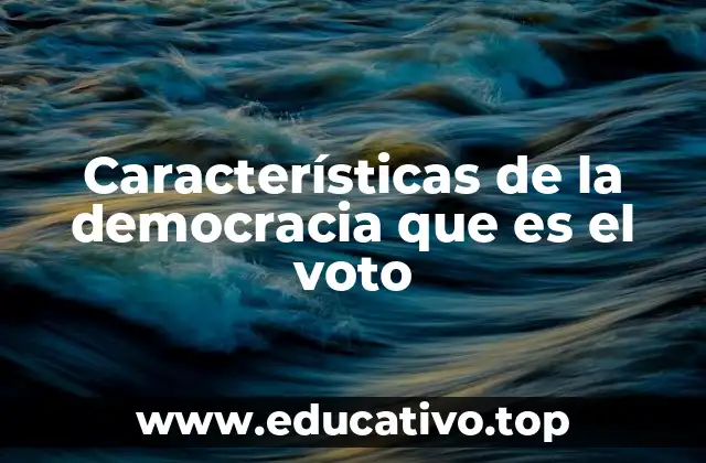 Características de la democracia que es el voto