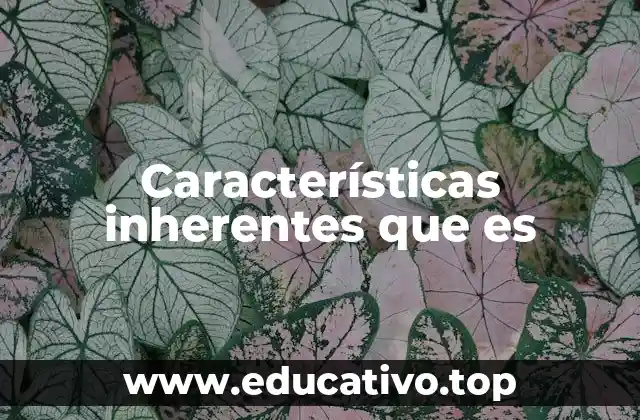 Características inherentes que es