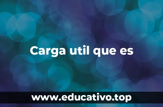 Carga útil y su relevancia en la logística