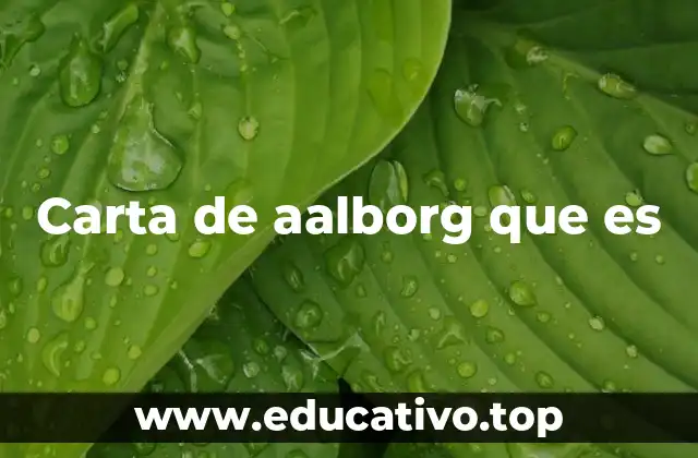 Carta de aalborg que es