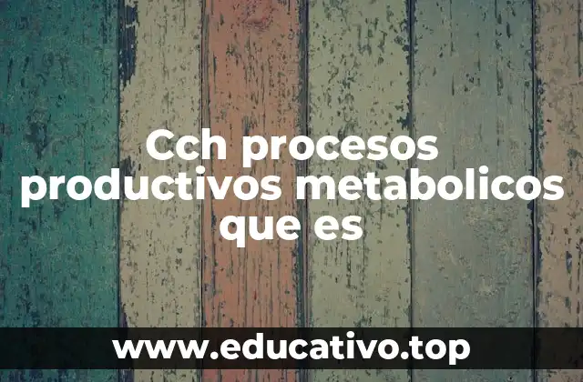Cch procesos productivos metabolicos que es