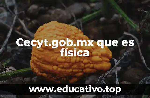 Cecyt.gob.mx que es física