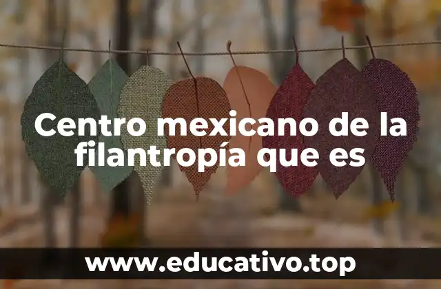 El rol del CMF en el ecosistema social mexicano