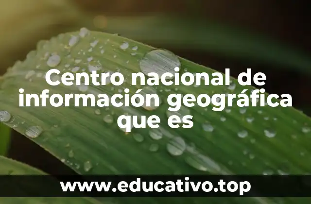 La importancia de la cartografía oficial en el desarrollo territorial